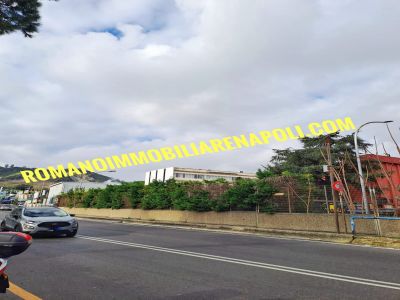 zona circostante